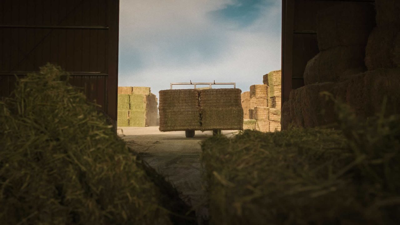 Alfalfa Delivery for Animal Feed