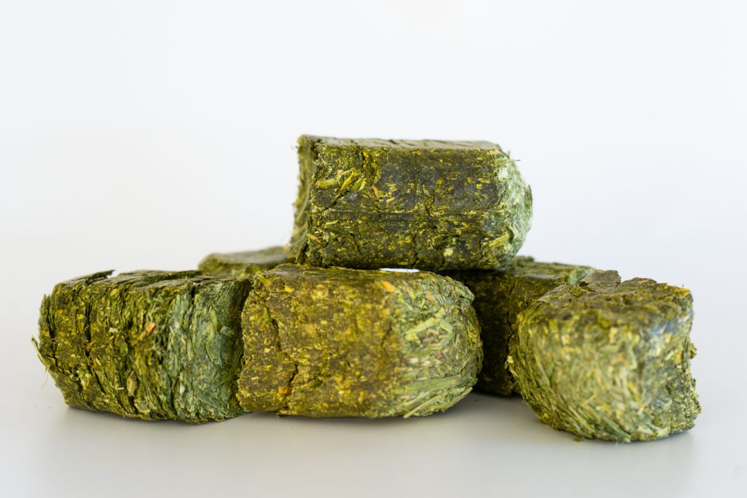 Alfalfa or Timothy Mini Cubes