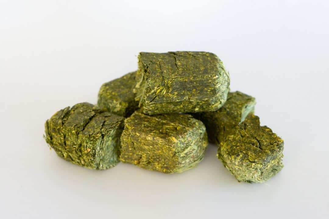 Alfalfa or Timothy Cubes