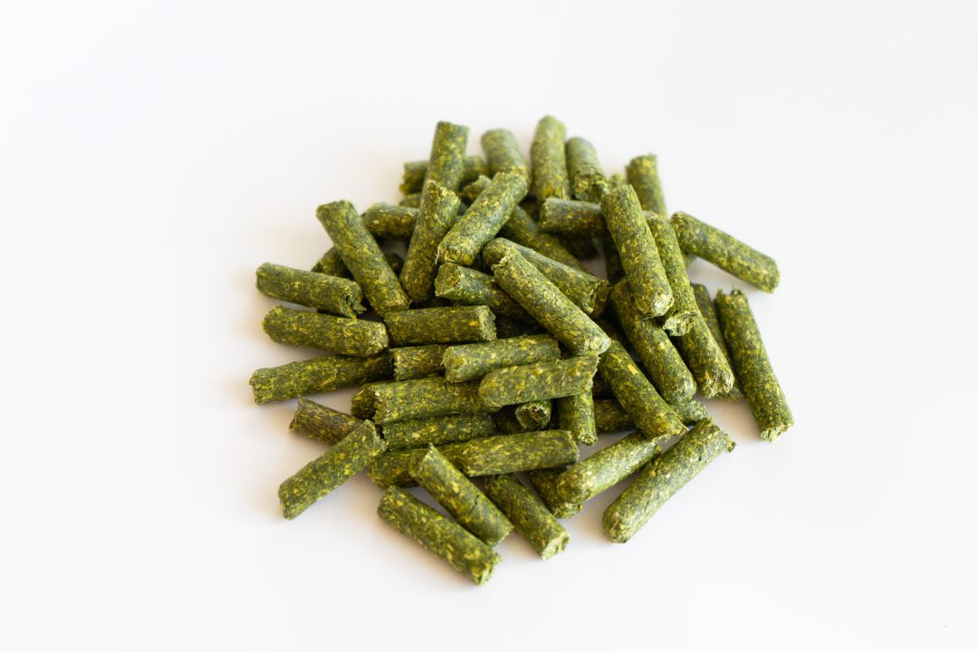 Alfalfa or Timothy Pellets
