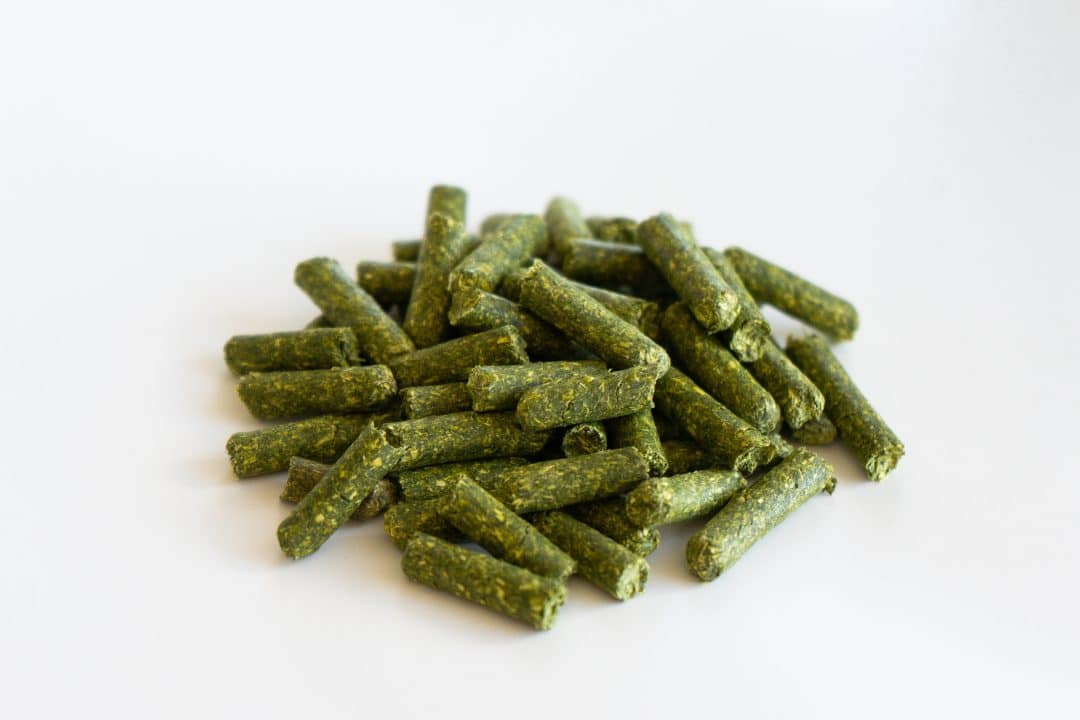 Alfalfa or Timothy Pellets