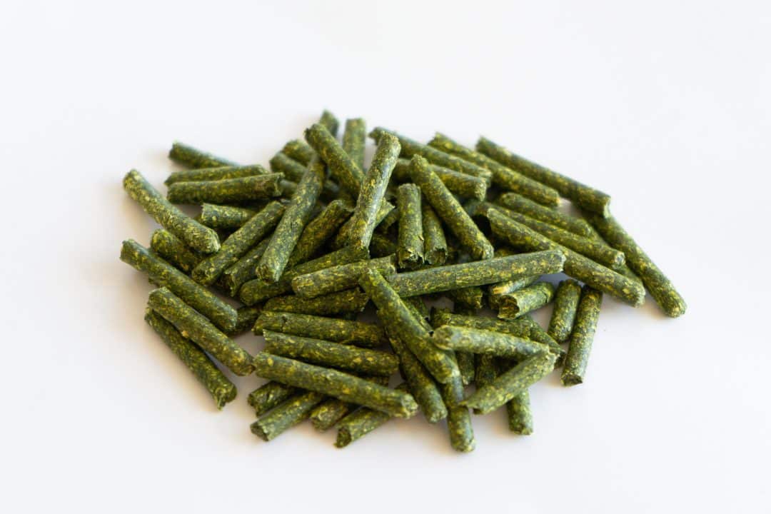 Alfalfa or Timothy Pellets