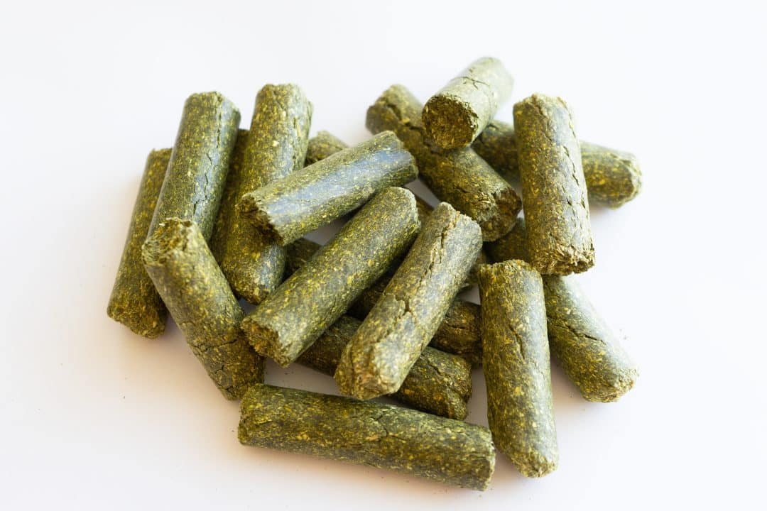 Alfalfa or Timothy Pellets