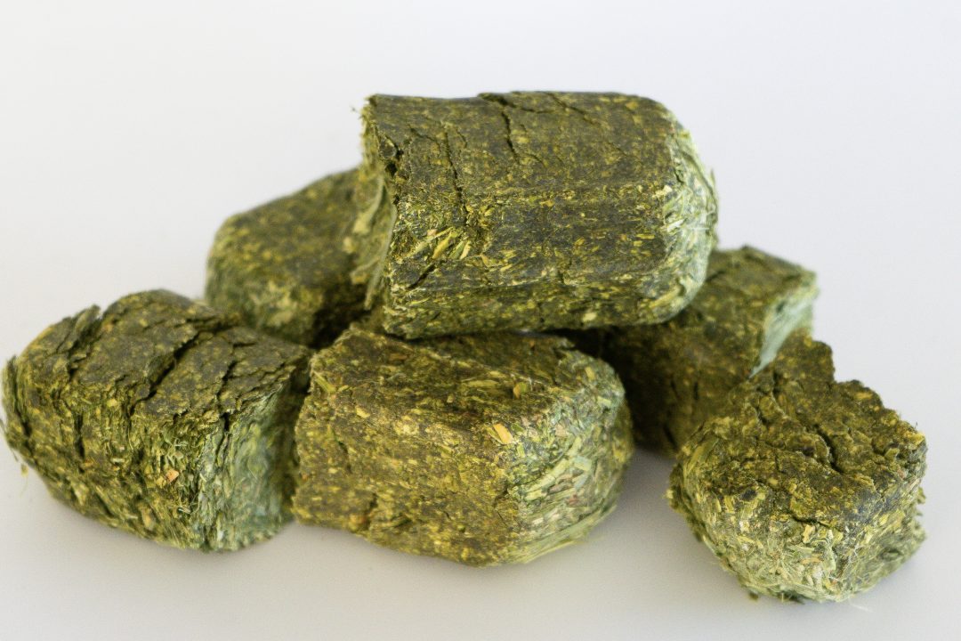 Alfalfa or Timothy Cubes
